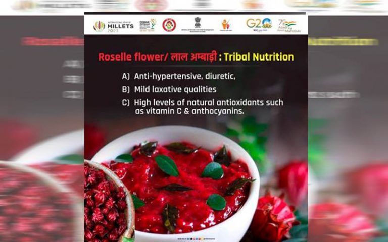 Nutrition Atlas: A unique initiative to help choose ideal food-nutrition mix